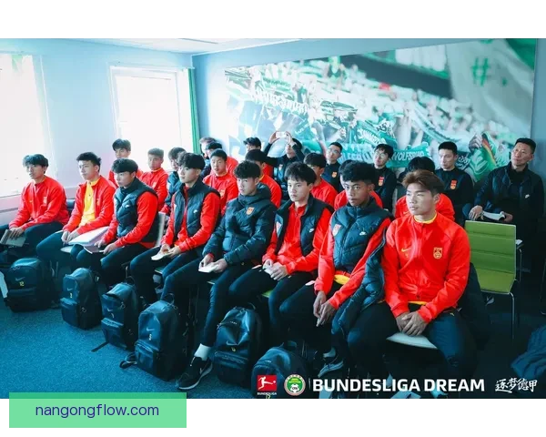 沃尔夫斯堡足球俱乐部的崛起与未来发展路径分析 沃尔夫斯堡足球俱乐部的崛起与未来发展路径分析
